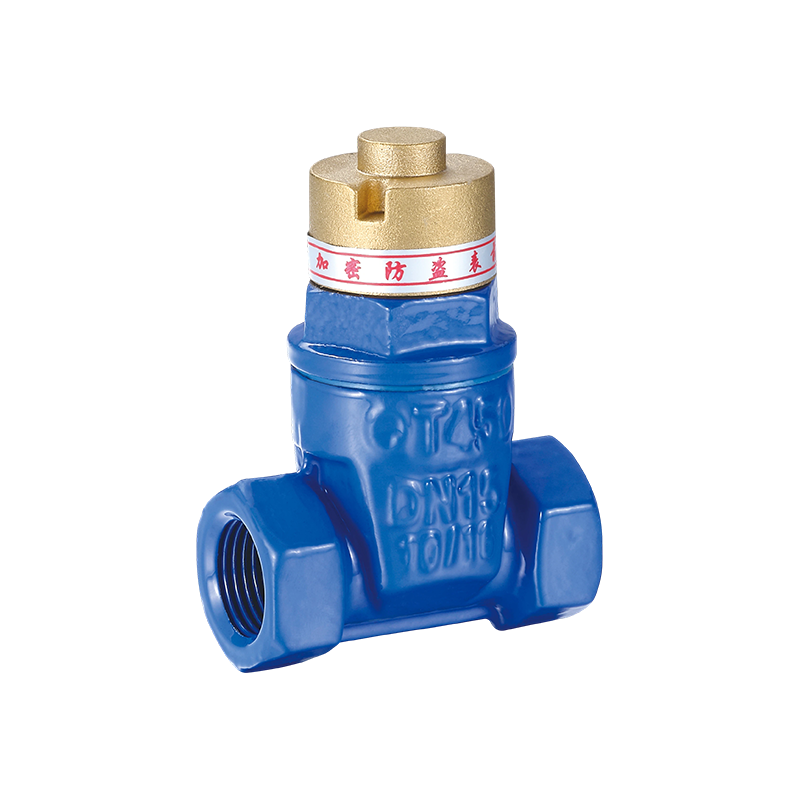 YH-1002 Magnetický uzatvárací ventil z nodulárnej liatiny proti krádeži